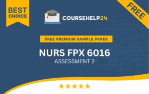 NURS FPX 6016 assessment 2